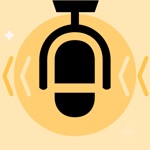 Audio Reverser - Record  Play