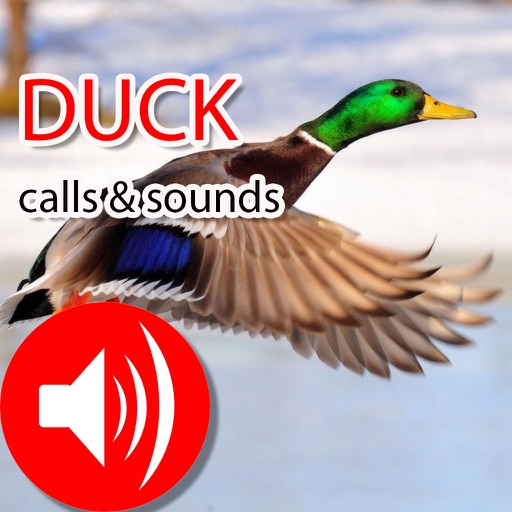 Duck Hunting Calls & Sounds - Real Duck Calls icon