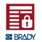 Icon Brady Smart Lockout