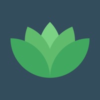 Mindful Quotes Of The Day apk