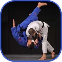 Judo in brief
