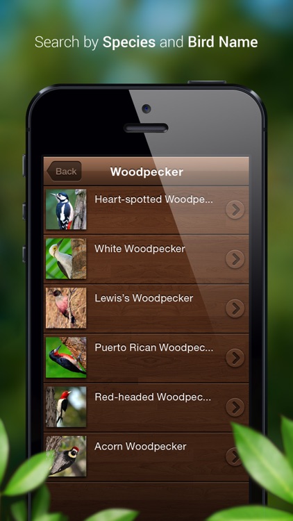 Bird Calls - Bird Song & Guide screenshot-4