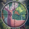 Deer Hunting Target