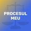 Procesul Meu