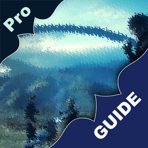 Pro Guide for Final Fantasy XV