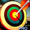 A War Archery Pro: Dawn Battle Arrow