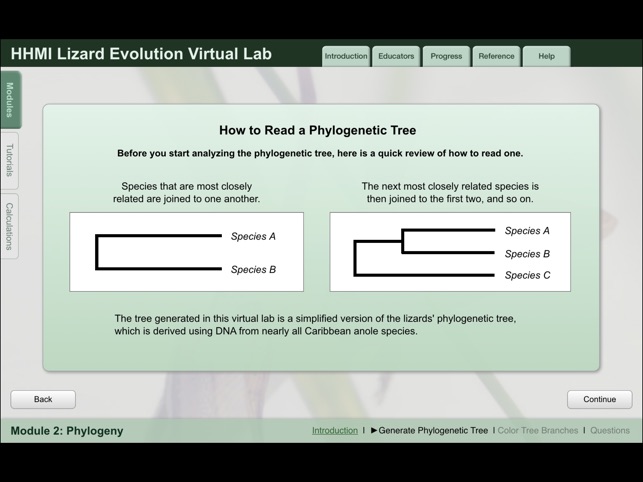 Lizard Evolution Virtual Lab(圖4)-速報App