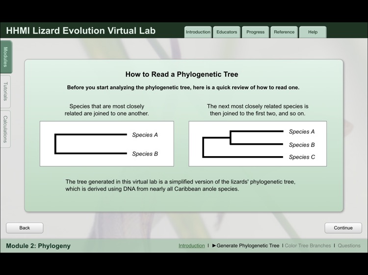 Lizard Evolution Virtual Lab screenshot-3