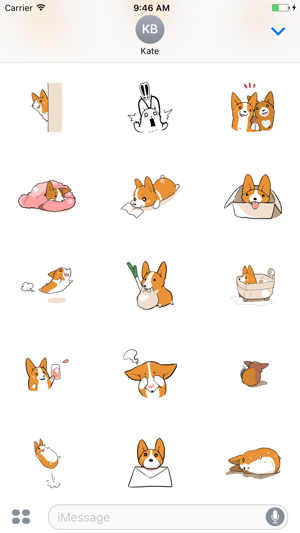 Lovely Corgi Animated Sticker(圖3)-速報App