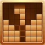 Download Block Puzzle New Games app