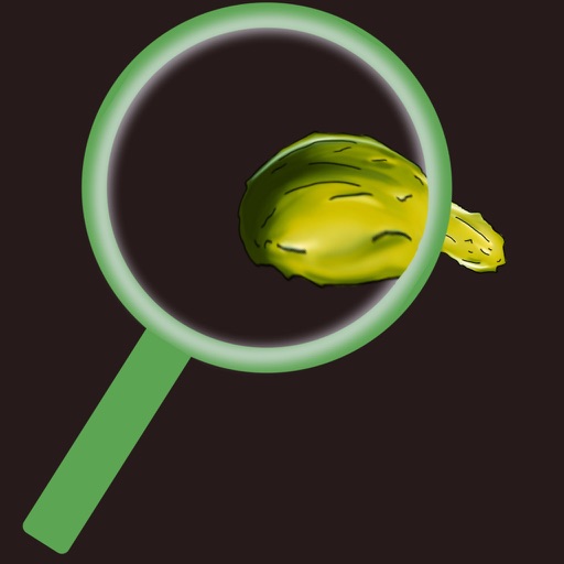 Pickle Detector NG iOS App