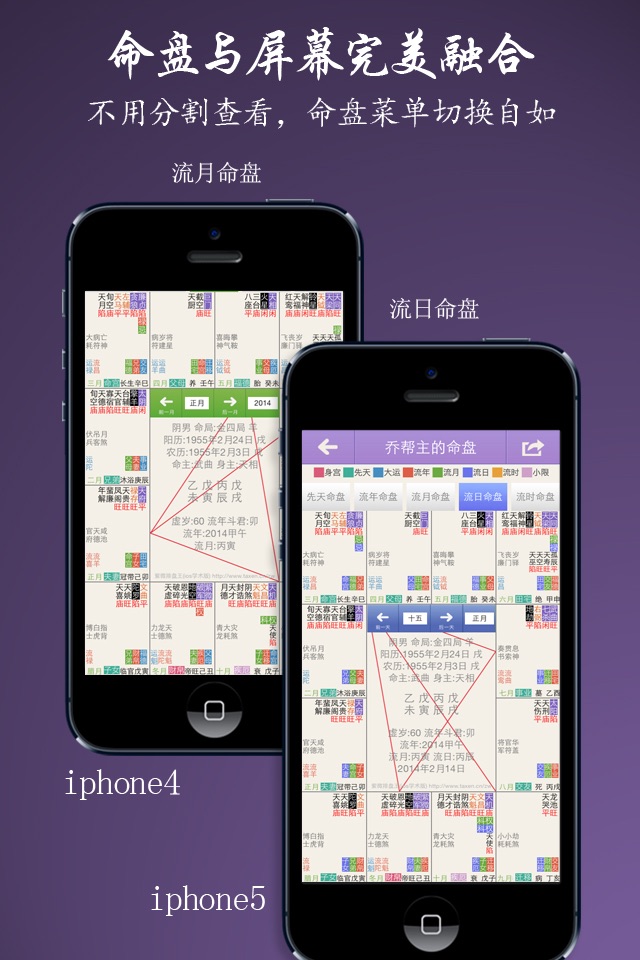 紫微斗数排盘王-学术版 紫薇斗数领导者 screenshot 4