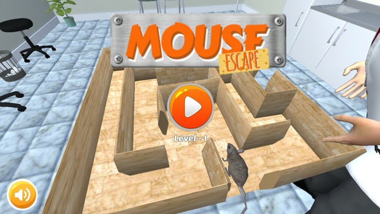 Mouse Escape - 3D Labyrinth Maze