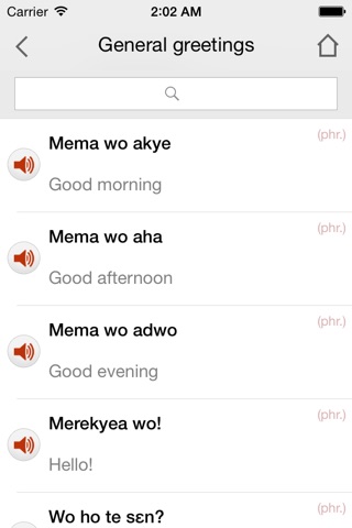 Nkyea Twi Phrasebook screenshot 2