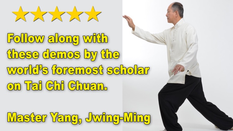Tai Chi 13 Postures screenshot-3