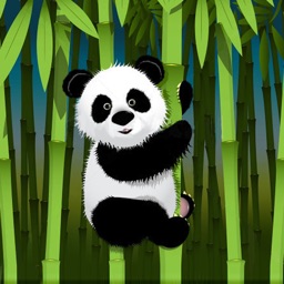 Panda Wallpapers – Panda Pictures & Panda Images