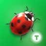 Get Fun Insects & Bugs for Kids for iOS, iPhone, iPad Aso Report