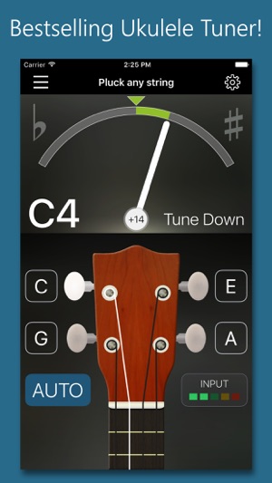 Precision Ukulele Tuner - with Chords & Metronome(圖1)-速報App