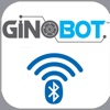 Ginobot Robot RC
