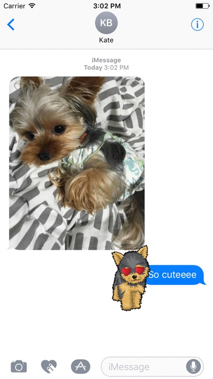 Yorkiemoji - Yorkie Emoji & Stickers