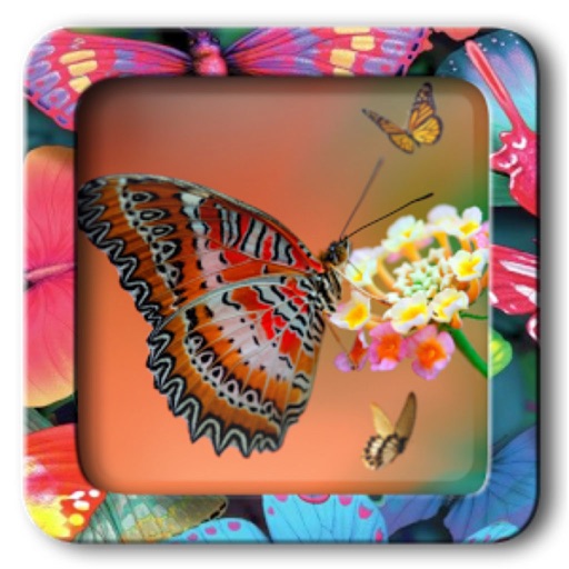 Butterfly Frames Editor Pro by Khanh Le
