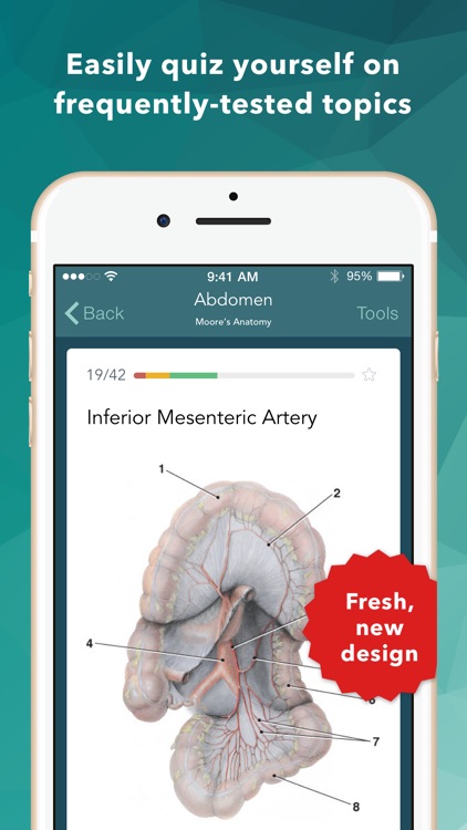 MOORE Clinical Anatomy Flashcards screenshot-3