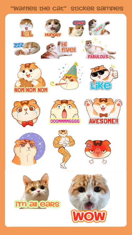 Waffles the Cat: Stickers