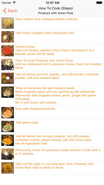 Indian Vegetarian Recipes (INRecipes) screenshot-4