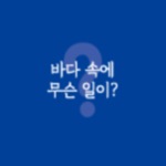 바다 속에 무슨일이?
