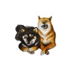 Shiba Inu Sisters And Friends - 5 stickers