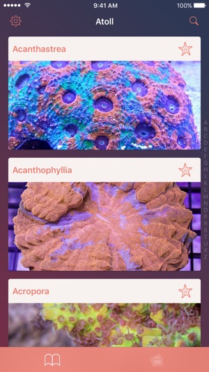 Atoll - Coral Identification App