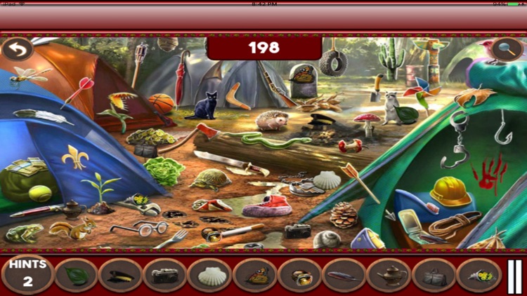 Hidden Objects:Hidden History