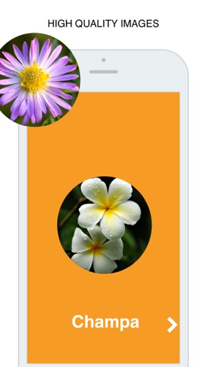 Flowers Flashcard for babies and preschool Pro(圖2)-速報App