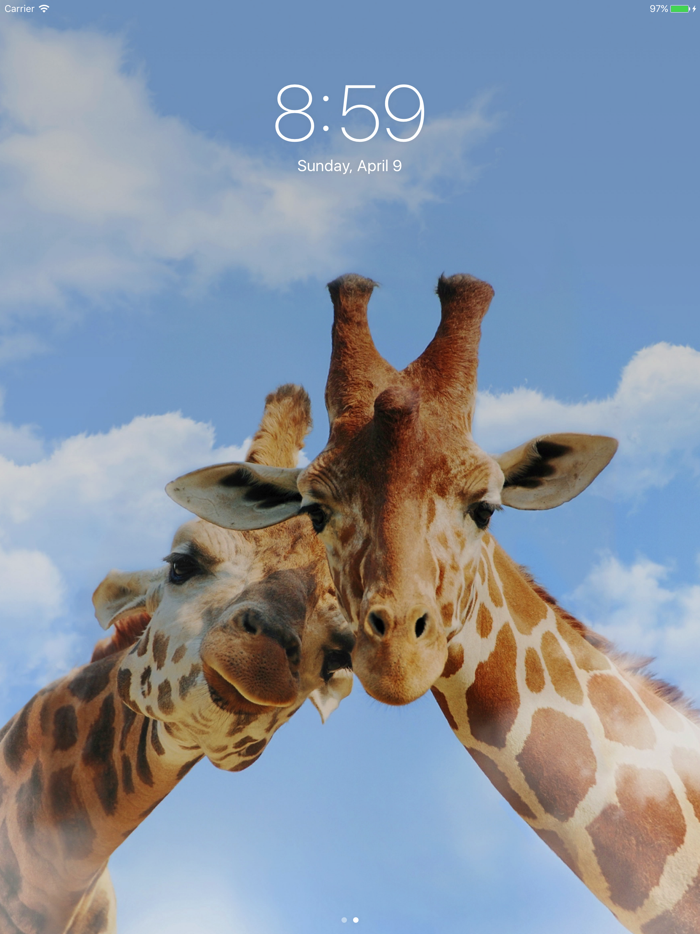 HD Wallpapers - Cool Wallpapers  Themes