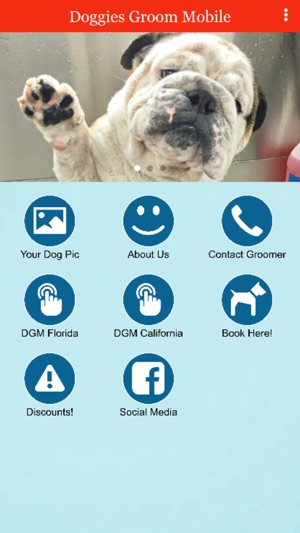 Doggies Groom Mobile(圖1)-速報App