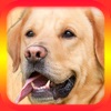 Dog Translator for Dogs