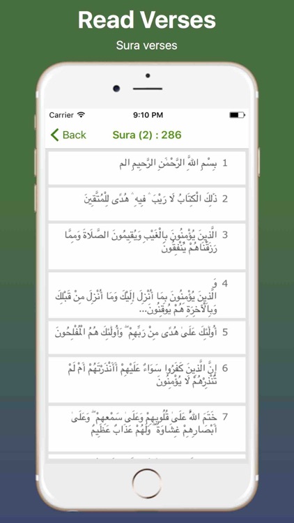 Arabic Quran and Easy Search