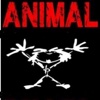 Animal Pearl Jam Tribute