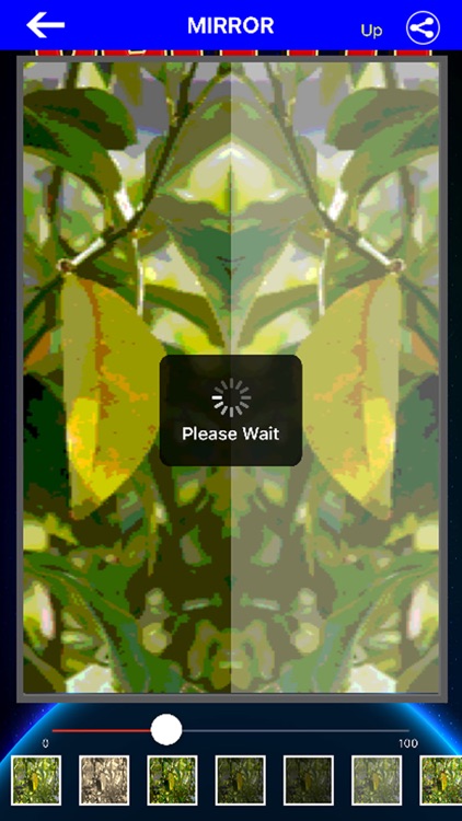 Free Photo Mirror Pro Edition