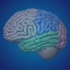 Laser Therapy for Brain Lesions - iPad Version