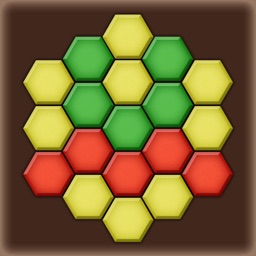 Color Lines. Hexagon