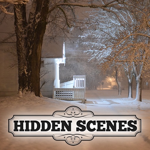 Hidden Scenes - Winter Puzzles iOS App