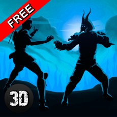 Activities of Shadow Kung Fu Fighting 3D - 2