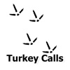 Pro Calls - Turkey Calls
