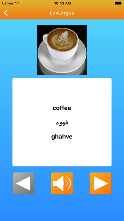 Learn Farsi Persian LuvLingua screenshot-3