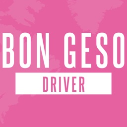 BonGeso Driver