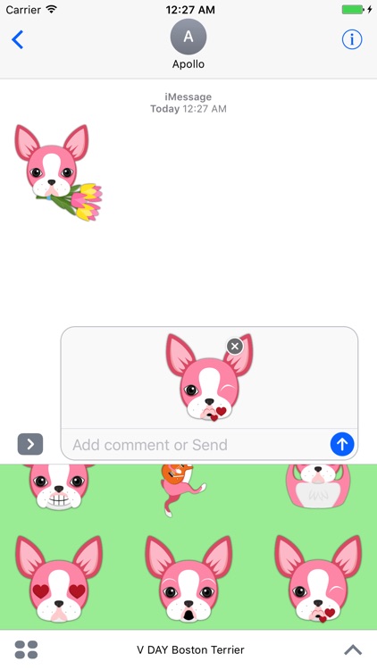 Valentine's Day Boston Terrier Emoji Stickers
