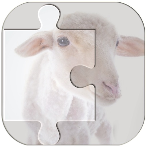 Real Animal Puzzle Jigsaw iOS App
