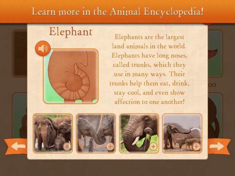 Care for Our World screenshot-4