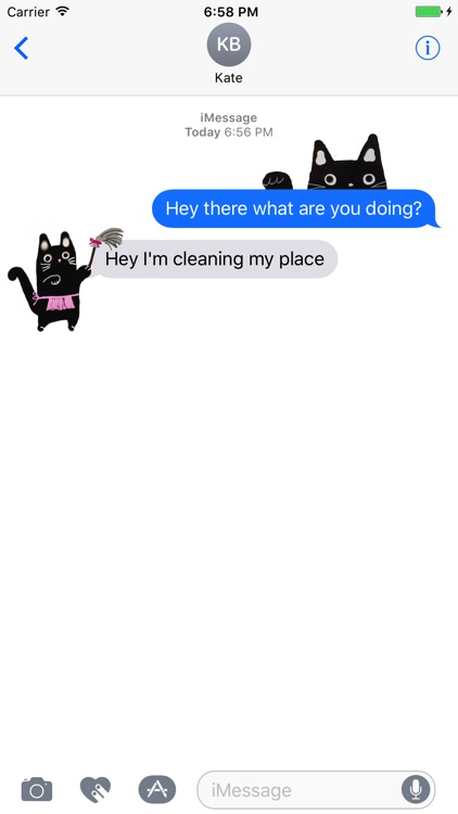 Hello Cat